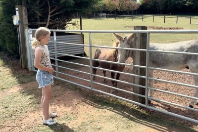 girl and donkey